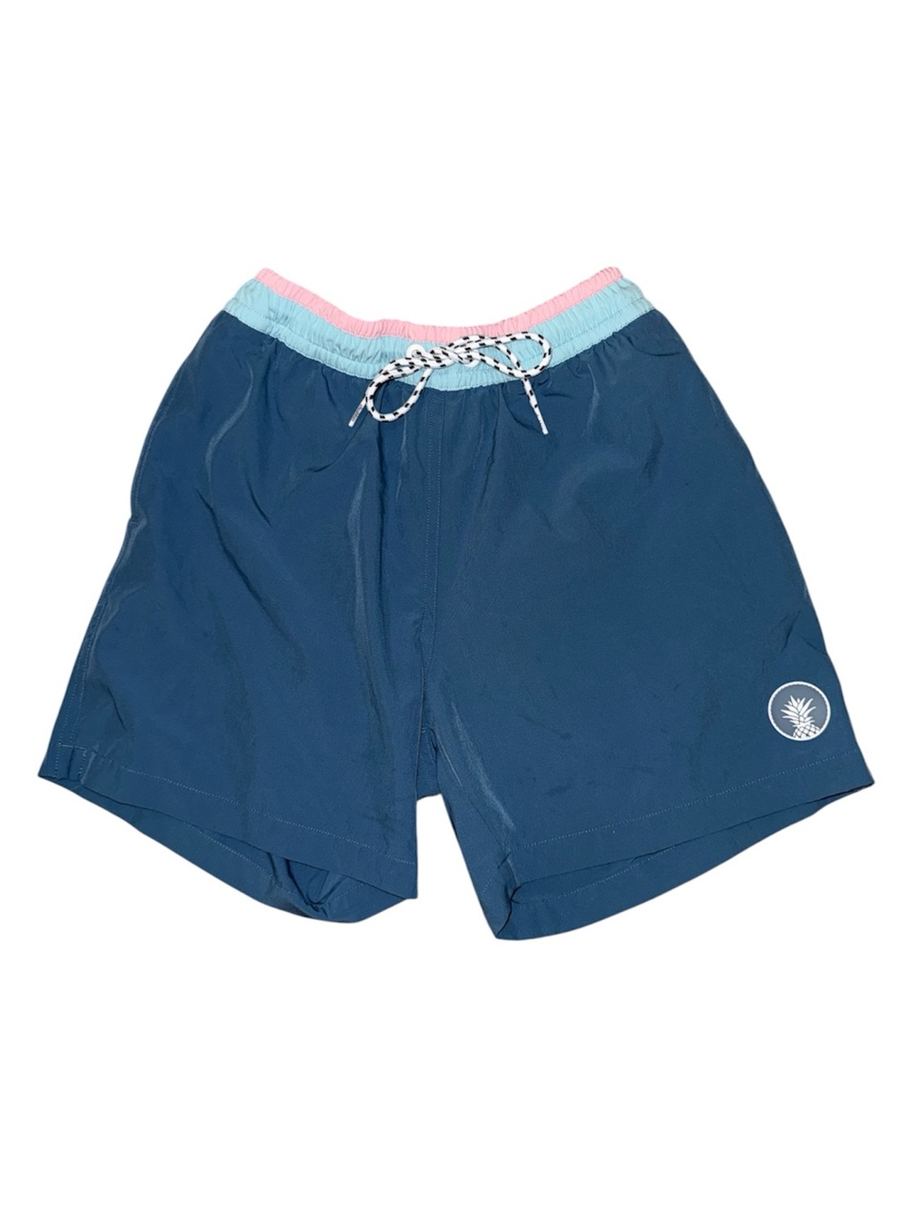 Chubbies 5.5” Swim Trunks Blue Pink Aqua Pineapple Lined Shorts Men’s S